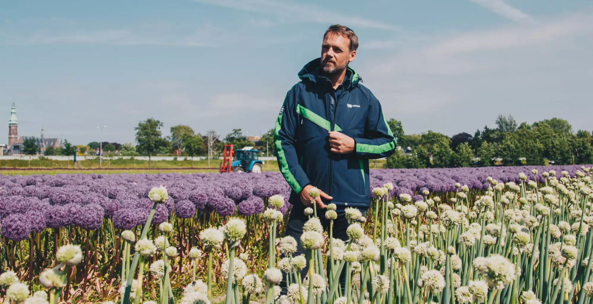 Man in een duurzame werkjas tussen bloeiende alliums